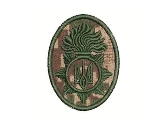 Кокарда НГУ ХИЖАК 3х4 см (на липучці)